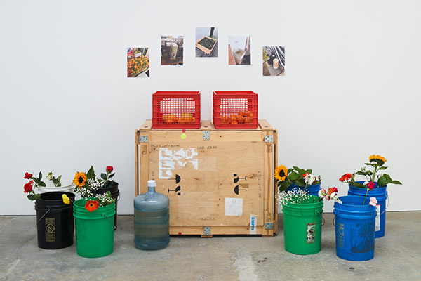 indoors installation in front of empty white wall with seven 20 L buckets, full of fresh cut flowers. Behind is a wooden crate about 4 feet of the ground, with two plastic fruit crates on top, full of fruit. There are five photographs on top of the installation, showing tangarines, a hot water dispenser, a garden raised bed, a sink, and empty buckets