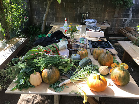 view of a long table with harvest from the garden including variety of pumpkins, daikon, kale, yarrow, chard, flowers, an induction cooker, canned jams