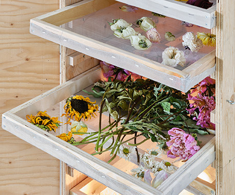 wood and mesh screens of dehydrator with dried flowers