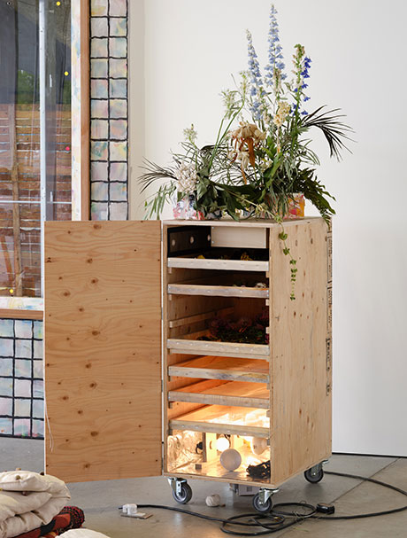 homemade wooden dehydrator with dried flowers inside andon top